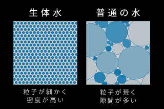 ���j�C���[�W